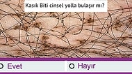 Hangi Hastalıkların Cinsel Yolla Bulaştığını Biliyor musun?