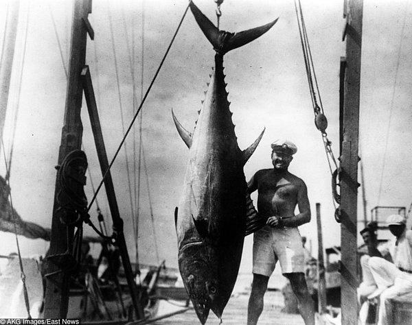 18. Hemingway bir ton ağırlığında balık yakaladı. - 1935