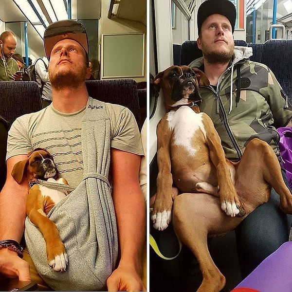 12. «Боюсь, нам потребуется дополнительное место»