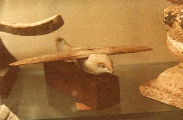 8. 2200 yaşındaki Saqqara kuşu