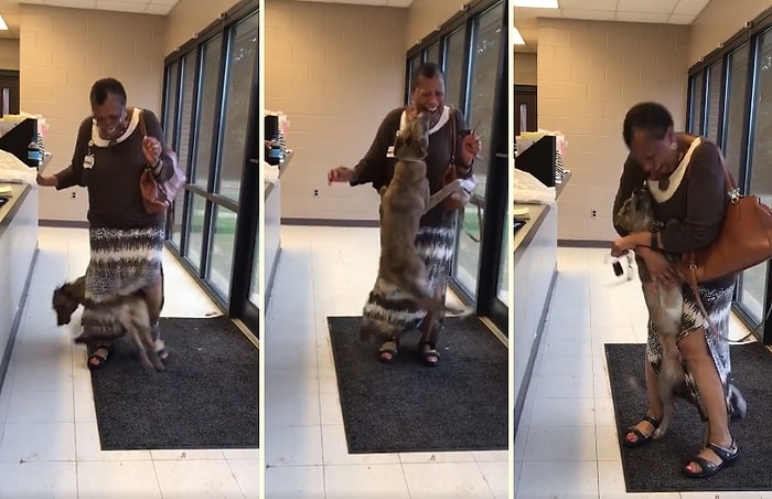 Kaybolduktan 2 Hafta Sonra Bulunan Köpeğin İnsan Dostu ile Karşılaşınca Yaşadığı Büyük Sevinç