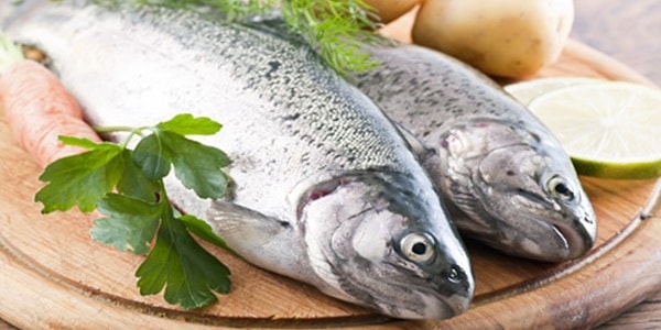 11. Рыба, срок хранения которой прошел 3 дня назад.