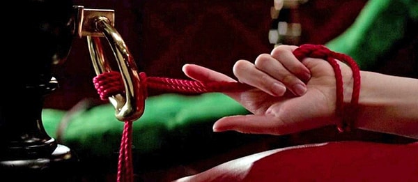 Вот только оба они не основывались на научных данных, что привело к тому, что работы Фрейда увели многих психоаналитиков в не ту степь, а романы Э. Л. Джеймс представили культуру БДСМ в совершенно неверном свете.