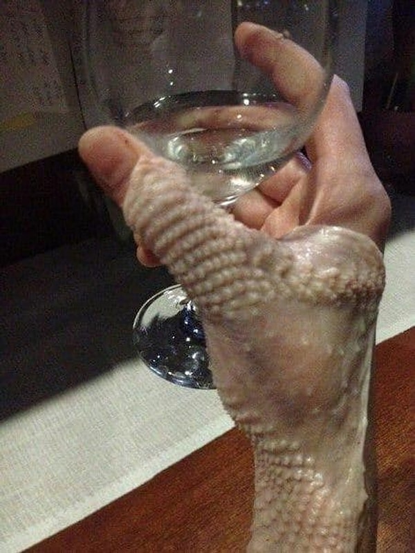 10. Что бы это ни было, выглядит отвратительно!