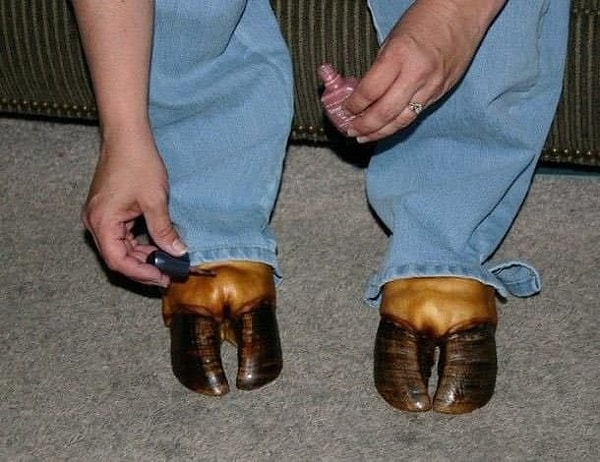 12. Когда ты резвая лошадка 😆