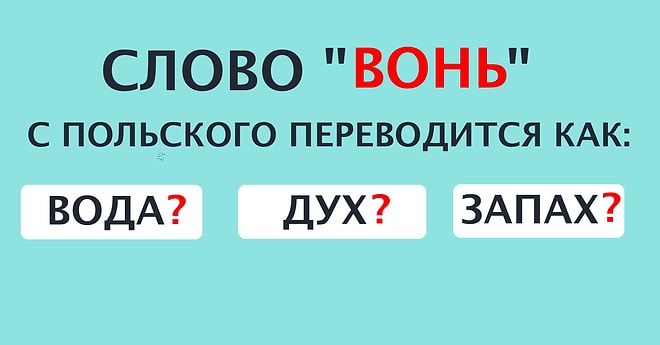 Тест: Вас можно назвать полиглотом, если сможете угадать значение русских слов в иностранных языках