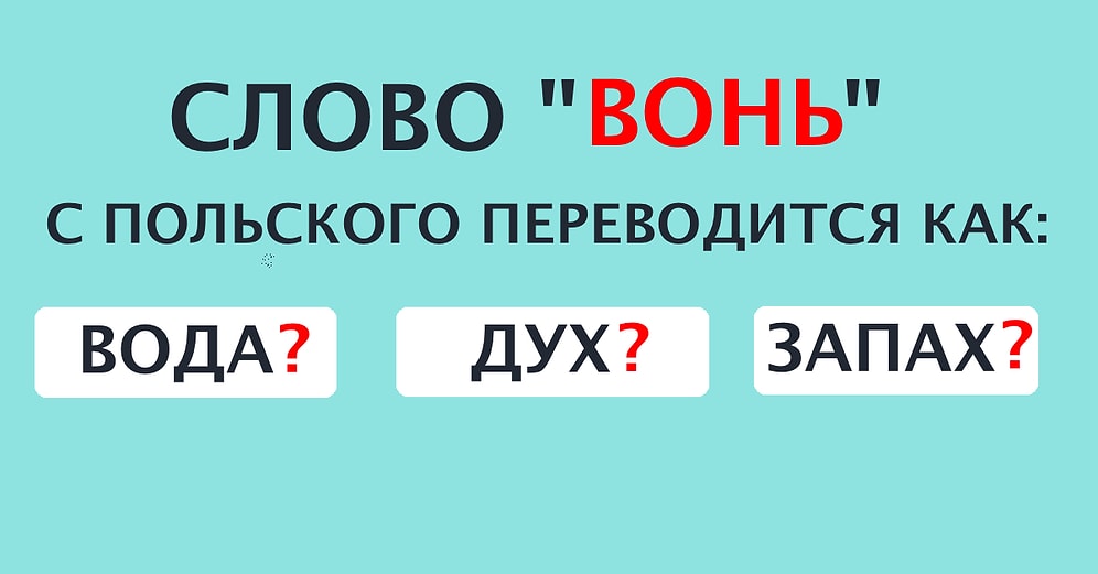 Тест: Вас можно назвать полиглотом, если сможете угадать значение русских слов в иностранных языках