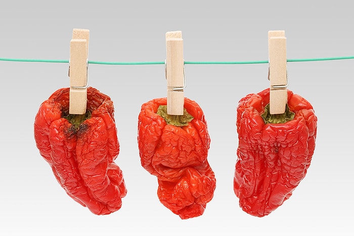 Опросник: какие продукты вы стали бы есть после истечения их срока годности?