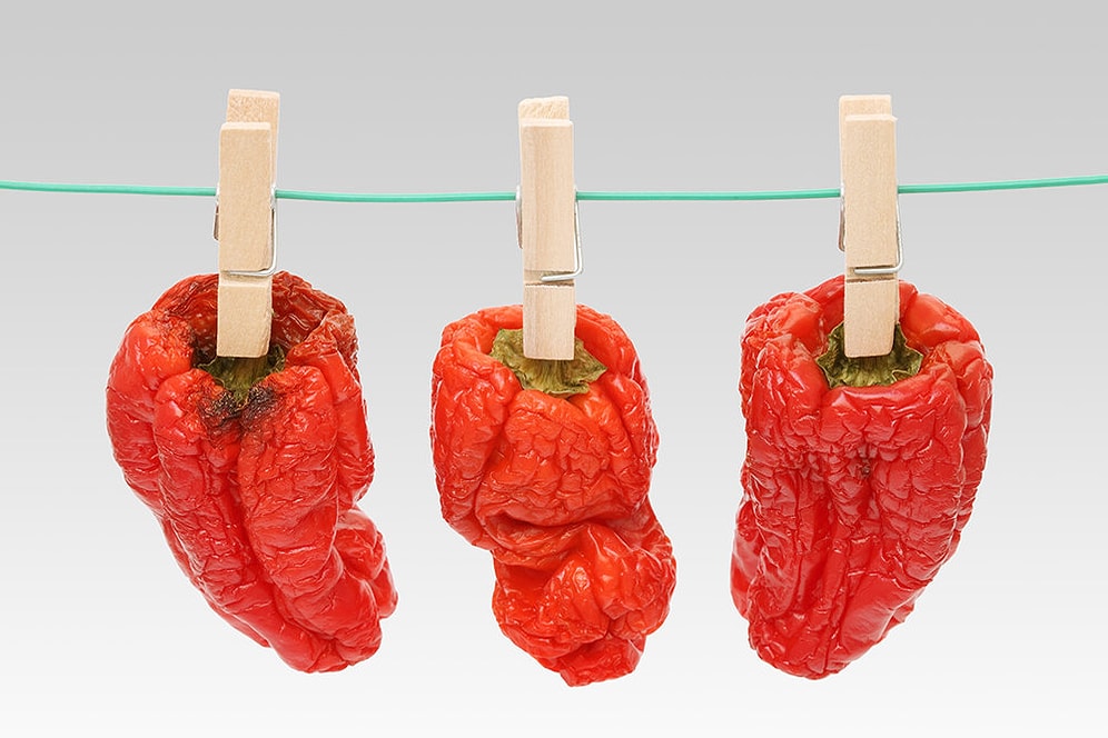 Опросник: какие продукты вы стали бы есть после истечения их срока годности?