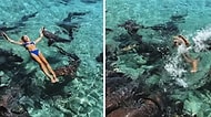 Sosyal Medya Hesabı İçin Poz Verirken Köpek Balığı Tarafından Isırılan Instagram Fenomeni