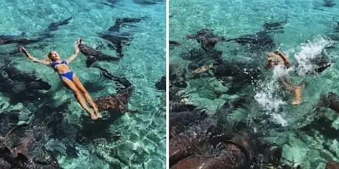 Sosyal Medya Hesabı İçin Poz Verirken Köpek Balığı Tarafından Isırılan Instagram Fenomeni