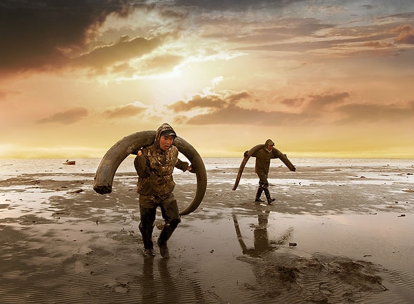 5. "Генезис 2.0"