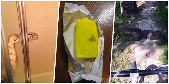 Çekenin Yerinde Olsanız İçinizden Kocaman Bir "Hassiktiiiiir" Diyeceğiniz 16 Fotoğraf