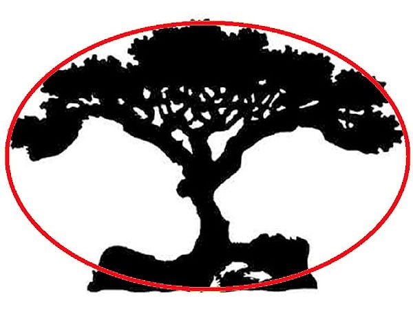 1. Если вы увидели дерево