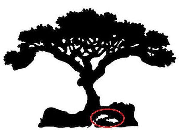 4. Если вы увидели рыбок