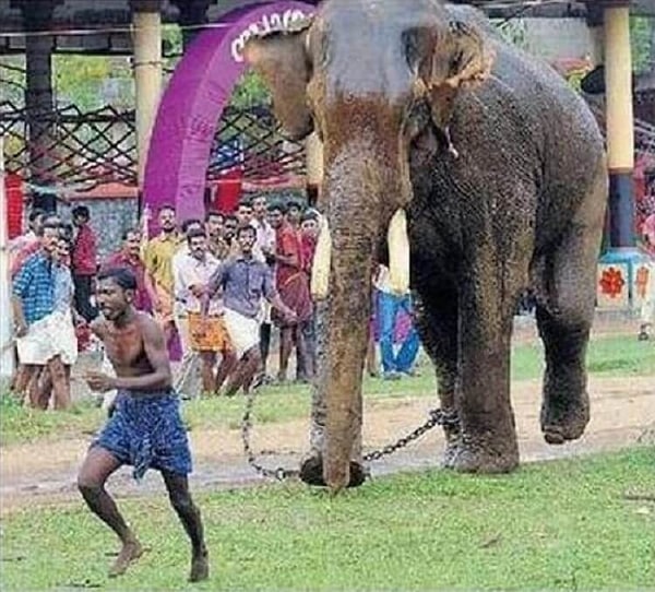 13. Это было очень опасно...