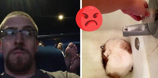 «Да что не так с этими людьми?»: фото, которые приведут в ярость даже ангела