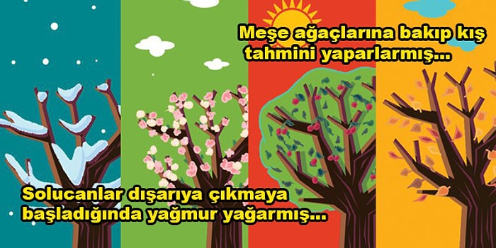 Soğandan Kozalaklara Hava Tahmini İçin Eski İnsanların Doğayı Nasıl Okuduklarını Biliyor muydun?