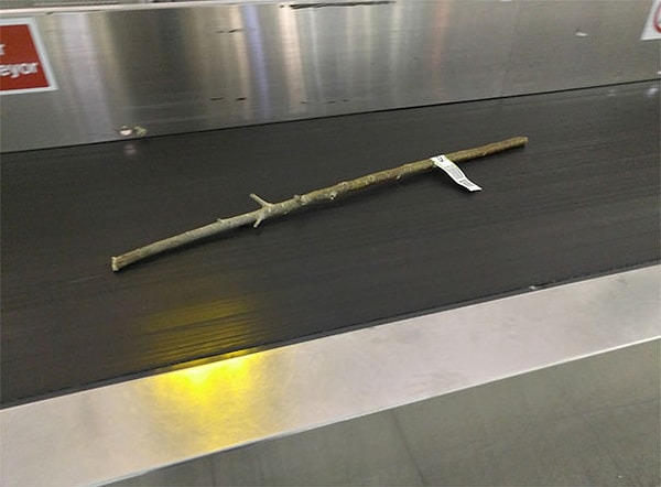 8. Серьезно?