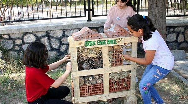 1. İzmir'in Bornova ilçesindeki Reşat Turhan Ortaokulu'ndan yaklaşık 30 öğrenci, nesli tükenmekte olan böcek türlerine sahip çıkmak amacıyla 'böcek oteli' kurdu.