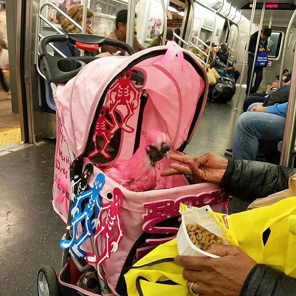 9. Часики-то тикают... Надо бы и о потомках подумать