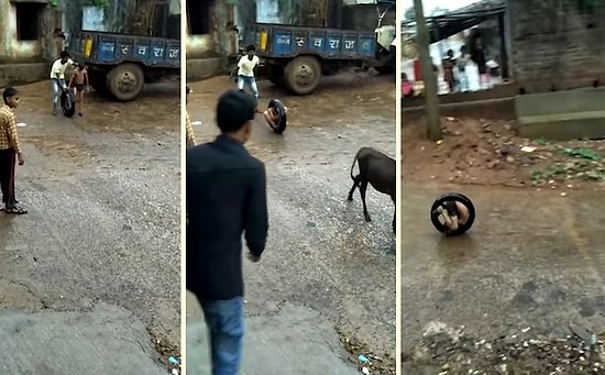 Yokluk İçinde Kendilerine Eğlence Yaratan Çocuklardan Düşük Bütçeli Bisiklet