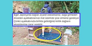 Harikulade Bilgilerle Marine Edilmiş Bu 18 Paylaşım Sizi Çok Daha Ayrıcalıklı Bir İnsan Yapacak!