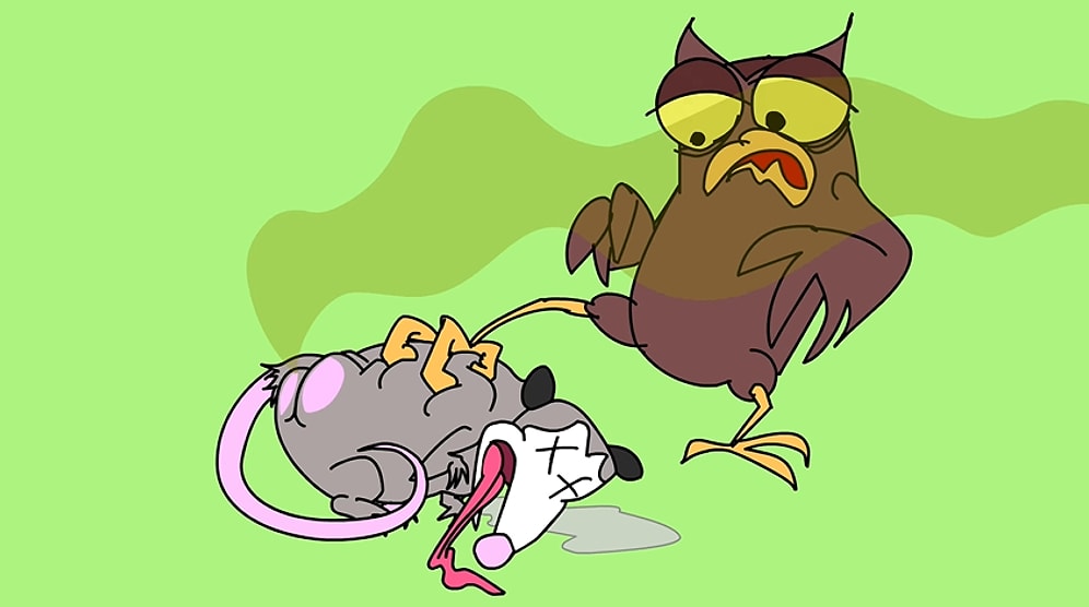 Hayvanlar Neden Ölü Taklidi Yapıyor?