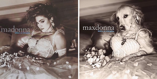 1. Обложка альбома "Like a virgin"