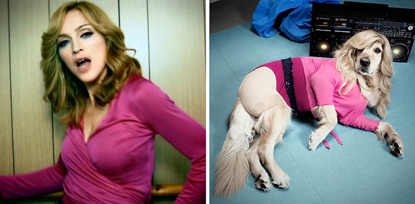 5. Клип "Hung Up"