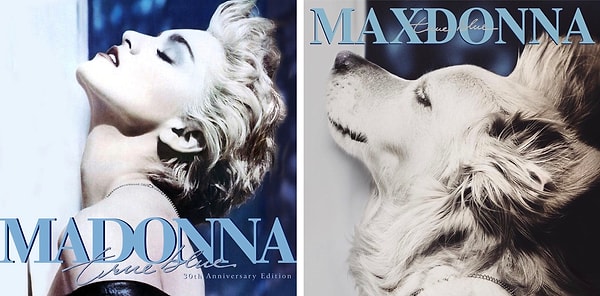 7. Обложка альбома "True Blue"