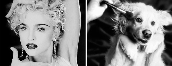 6. Клип на песню "Vogue"