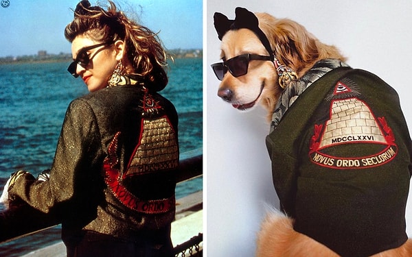 10. Образ Мадонны в фильме "Desperately Seeking Susan" ("Отчаянно ищу Сьюзен")