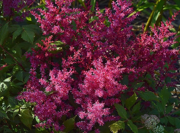 12. А это, конечно же...