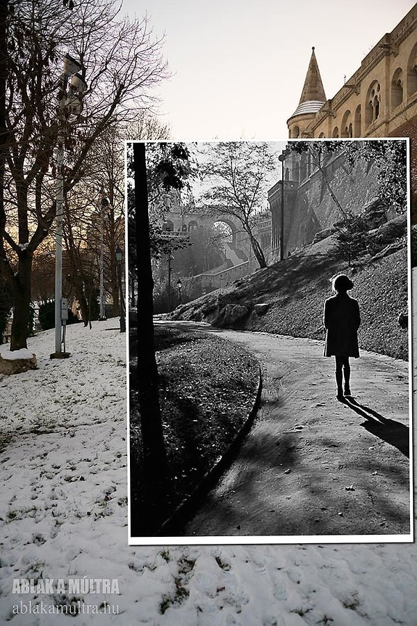 19. 1943 г. - 2016 г.