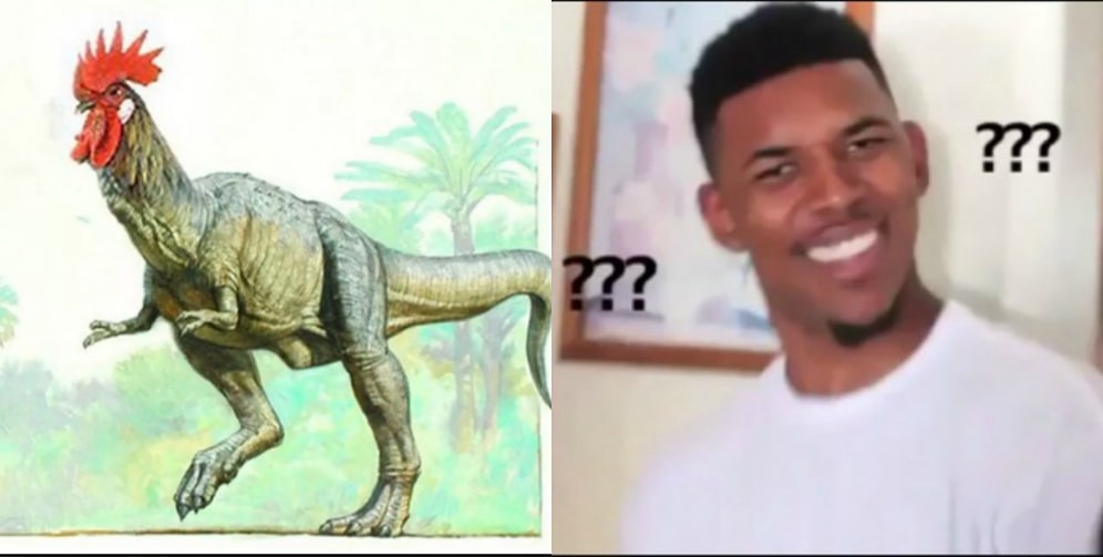 Странные мысли, которые посещают нас перед сном