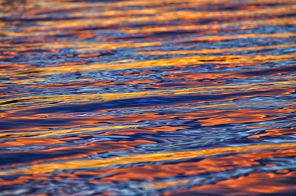 14. Fotoğrafçı Kirby Wright, Monona Gölü kıyısında gün batımını izlerken ışık yansımalarını fotoğraflıyor.