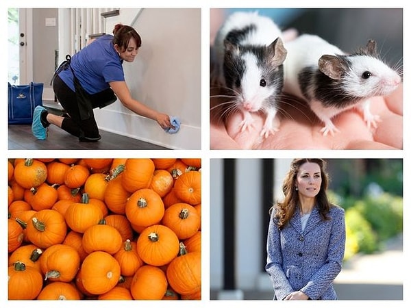 7. Что это за мультфильм?