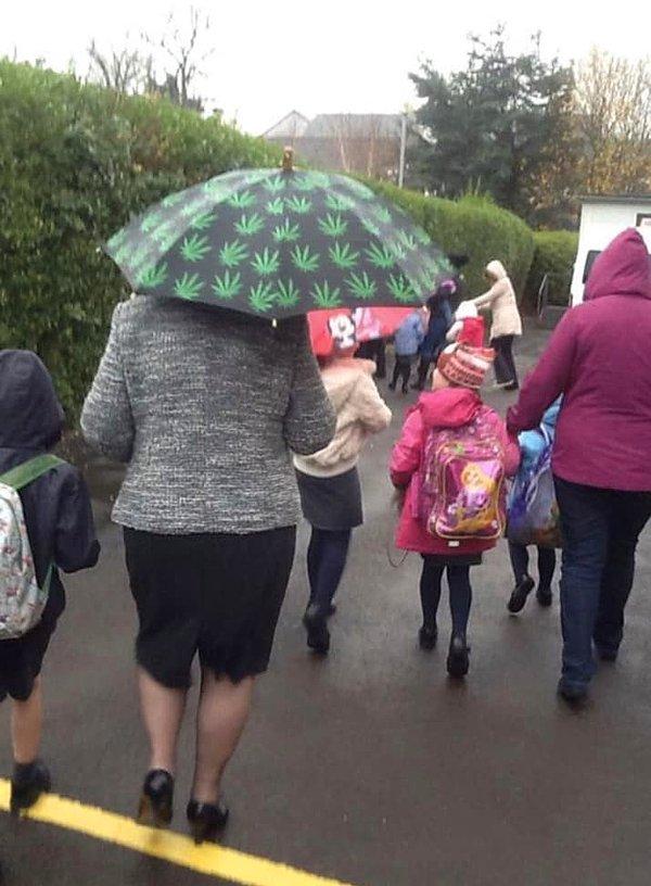 16. "Kuzenim 70 yaşında bir büyükannenin torununu okula bırakırken bu şemsiyeyi açtığını görmüş."