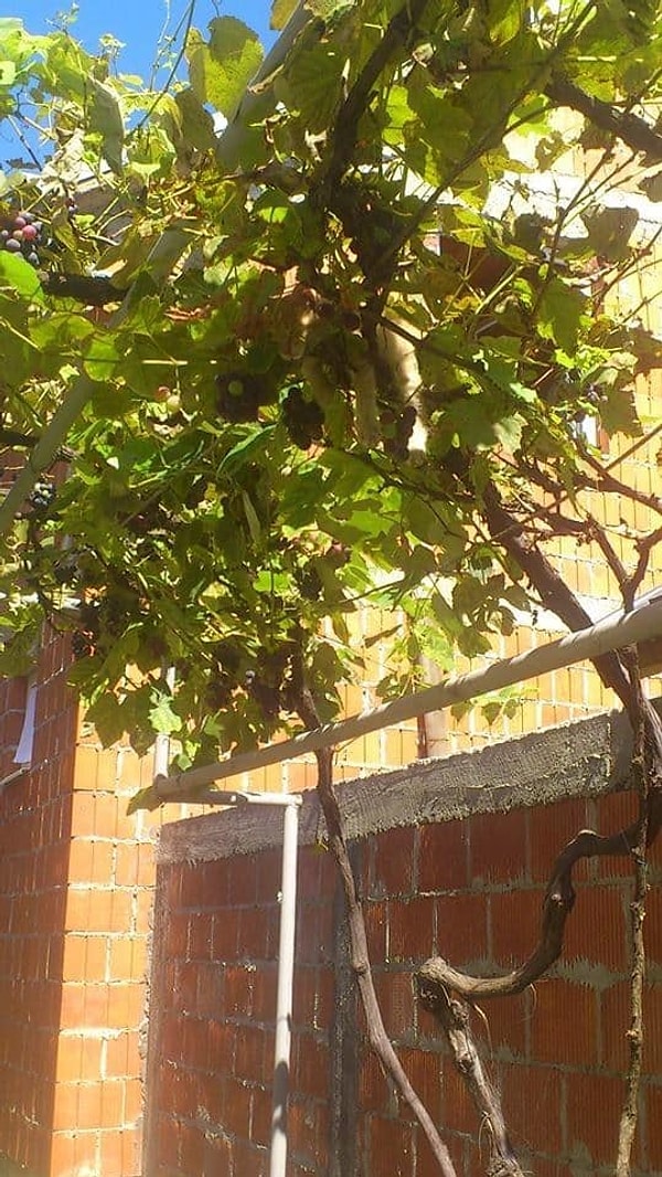 4. И любой тенечек кажется тебе спасением...