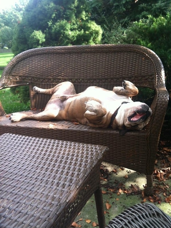 7. И ты просто пытаешься не растаять...