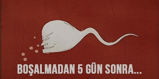 Sperm Hücreleriyle İlgili Aklınızın Bir Köşesinde Bulunması Gereken İlginç Bilgiler