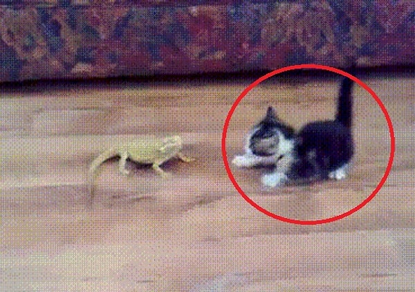 8. Как думаете, понравятся ли эти ребята друг другу?