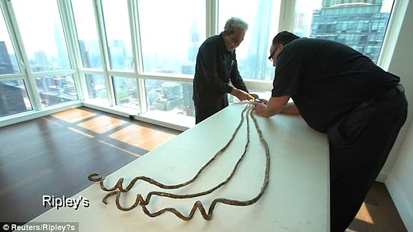 5. В 2014 году Чиллал попал в Книгу рекордов Гиннесса как человек с самыми длинными ногтями на одной руке.