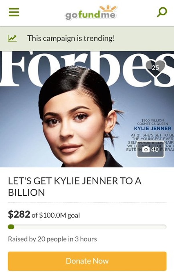 Фанаты, которые хотели бы, чтобы Кайли Дженнер получила титул молодого миллиардера, даже начали кампанию по сбору средств.