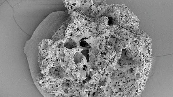 Mikroskopla incelenen ekmek kırıntılarında taşlama, eleme ve yoğurulma belirtilerine rastlandı.