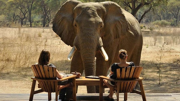 16. Может, у таких людей отсутствует какой-нибудь таинственный ген страха?