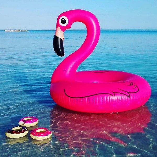13. Sana da lanet olsun pembe flamingo!