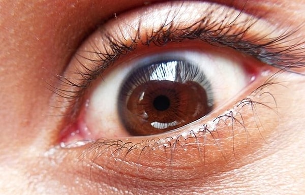 4. Мы видим кошмары во время быстрой фазы сна