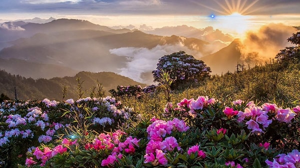 5. Что из этого вы считаете самым красивым?